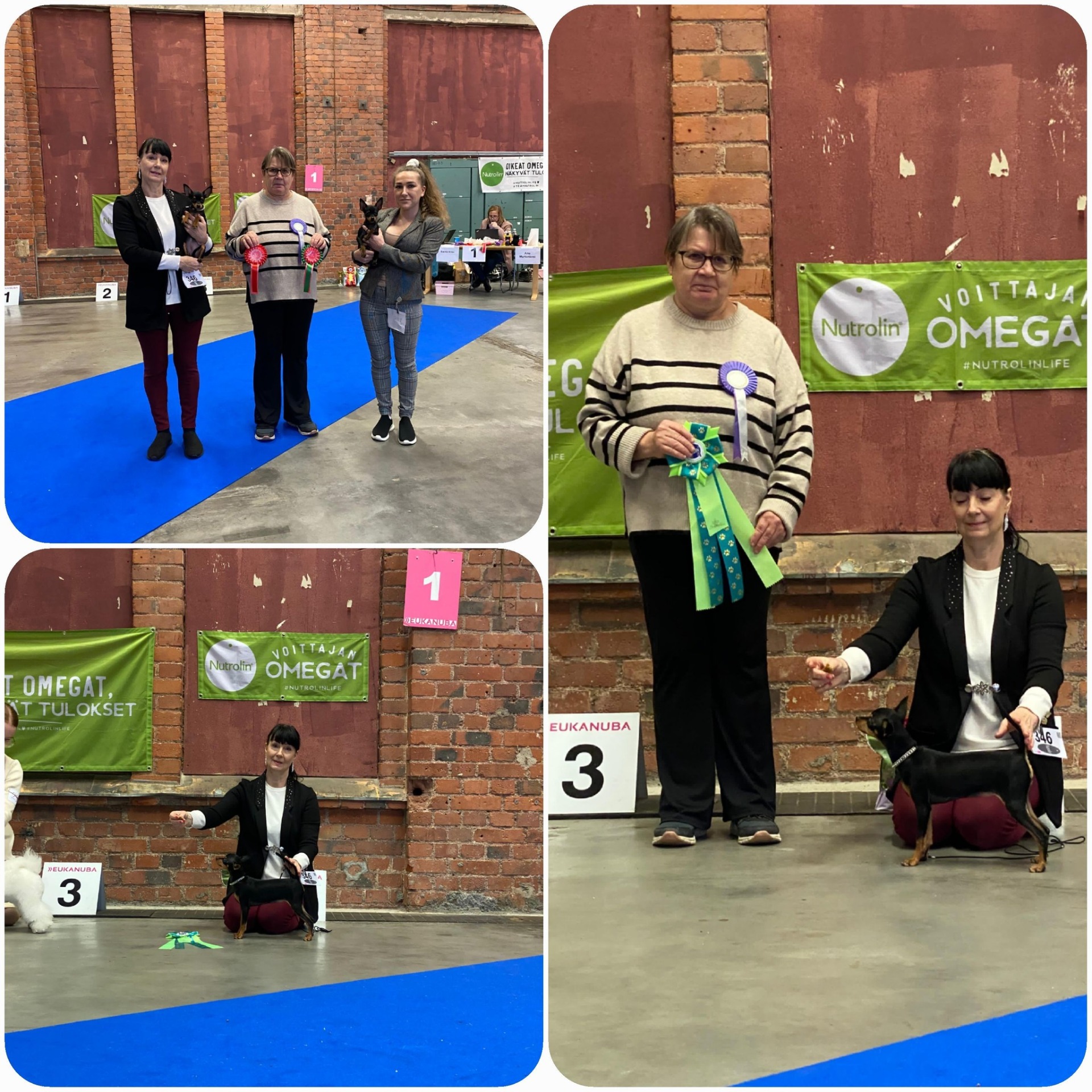 9.11.2025 Karkkila PN. Awian The Winner Takes It All KP, ROP-Pentu, RYP-4 Pentu, Awian The Name Of The Game VSP-Pentu