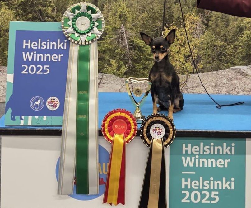 6.12.2025 Fashionista Riga Night HeW-25