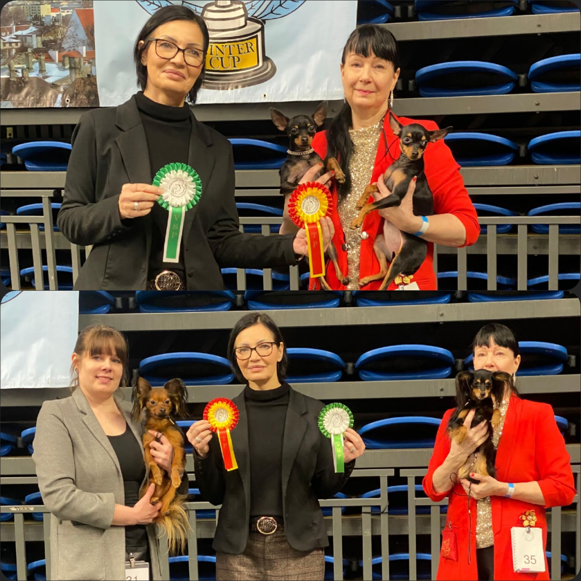 11.1.2026 Tallinna Awian The Winner Takes It All ROP, Amber Delis Forsage VSP, Awian Quality Questal ROP, Awian Dramaqueen Diva Dorotheya VSP