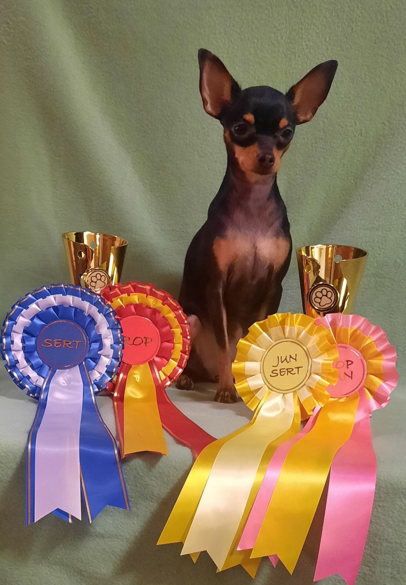 Parkano Rn. 1.2.2026 Awian The Winner Takes It All