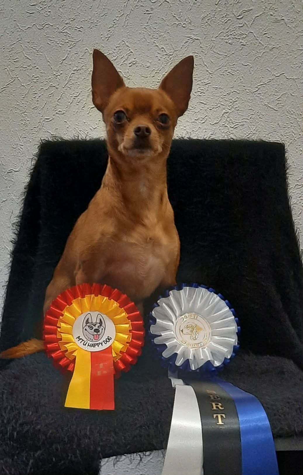 Hugo SERT ROP Valga Kr.