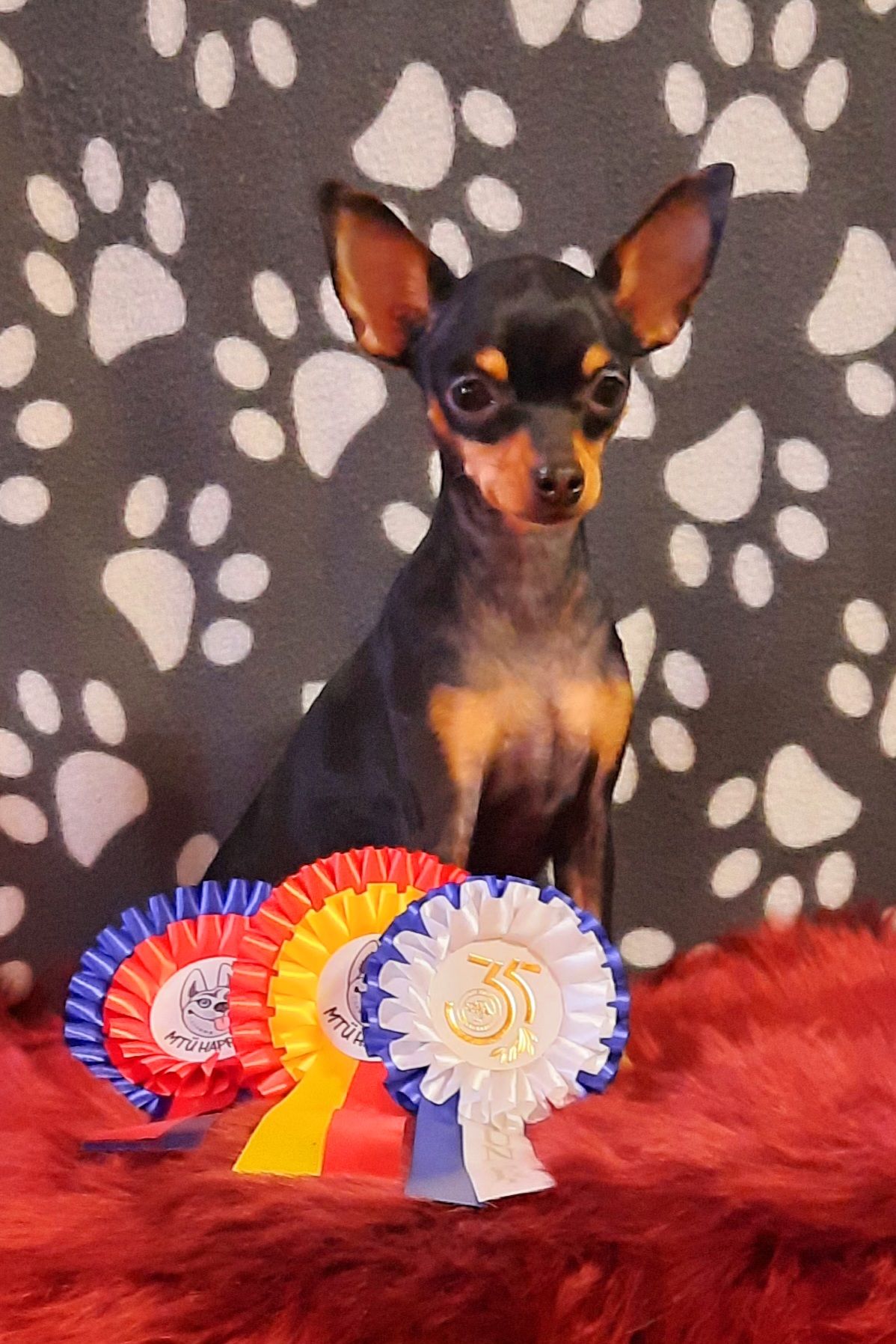 22.2.2026 " Ipana " Valga kr. EE JMVA ROP