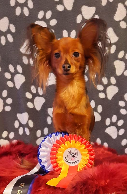 Unna 2 x SERT ROP Valga Kr.