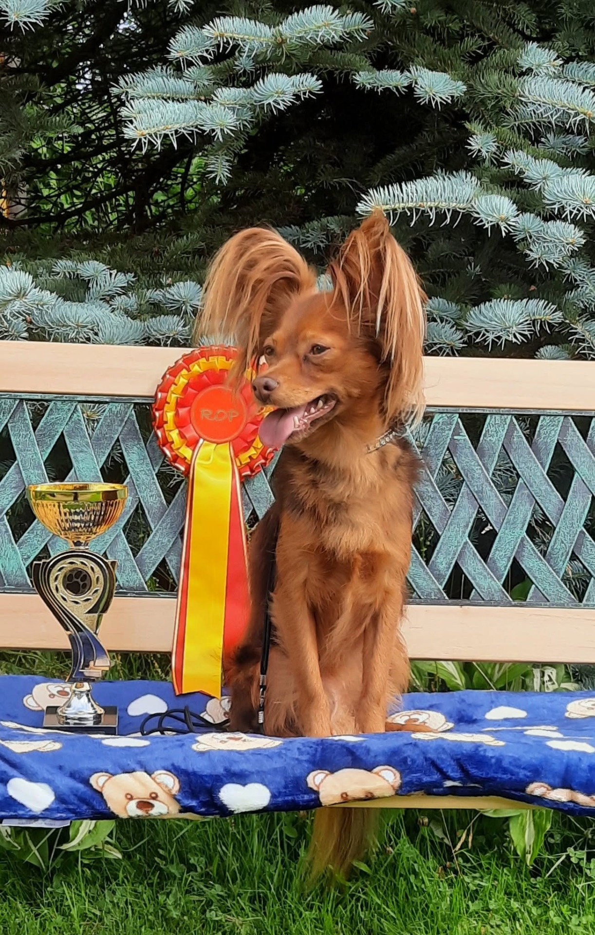 Awian Keep On Winning ROP Mikkeli 25.7.2026 